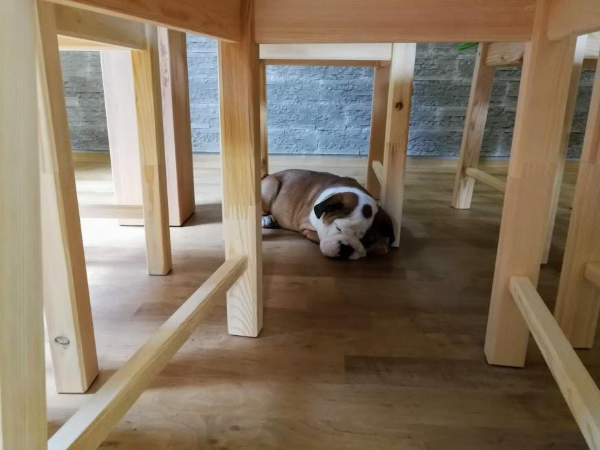 Penzion U Kluju Vestin Exteriör bild